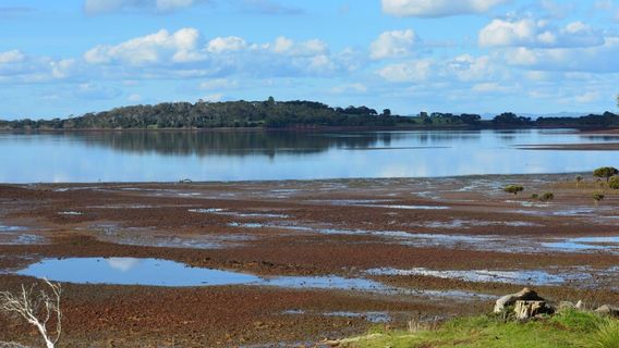 Scenic Estate Conservation Reserve