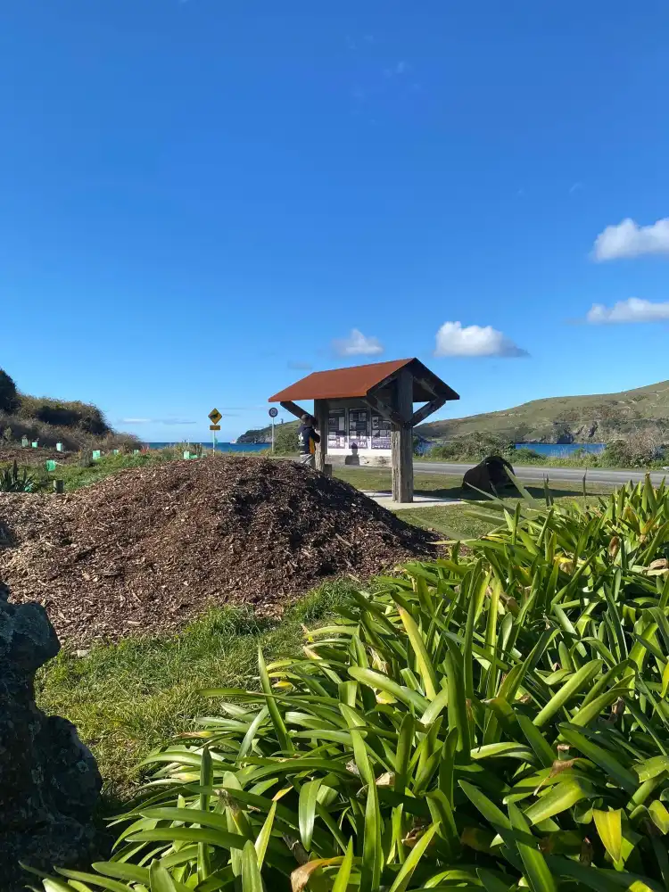 Hotel a Aramoana