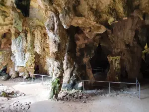 Stick-Tomato Cave