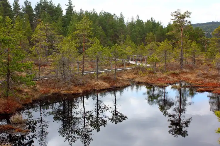 Hotels near Hällefors Kyrka