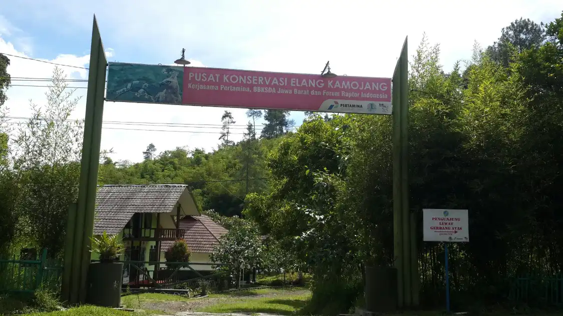 Hotels near Kamojang Eagle Conservation Center