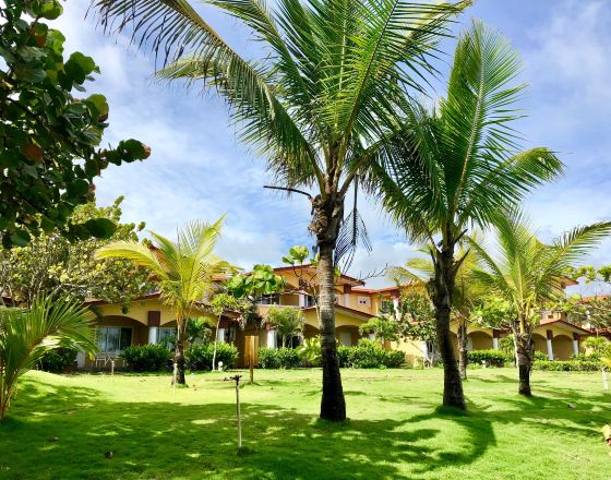 戴維 自由行套票