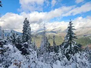 Elk Creek Outfitting