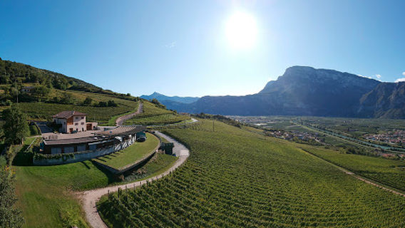 Azienda Agricola Maso Poli