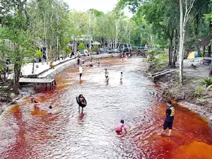 Wisata surung danum
