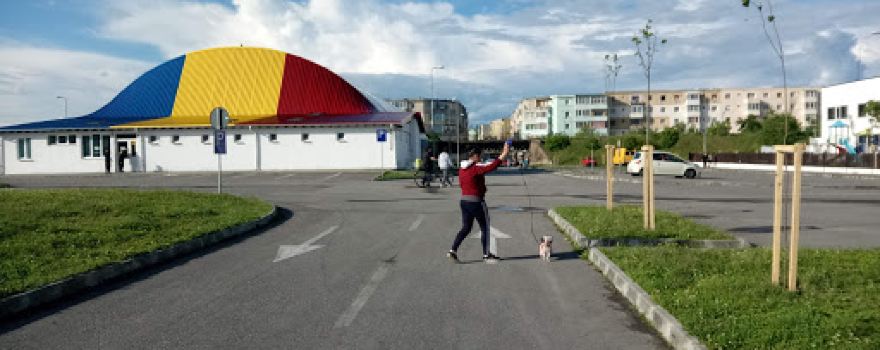Balon Royall