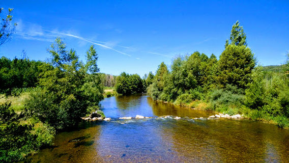 Parque De Cimanes Del Tejar