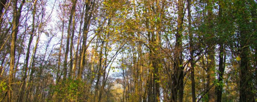 Consorzio Parco del Lura - sede e uffici