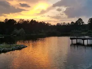 Lake Mike Conner