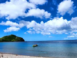 Scotts Head Beach