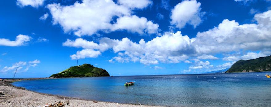 Scotts Head Beach