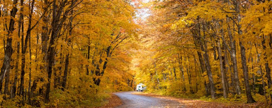 Algonquin Provincial Park - West Gate