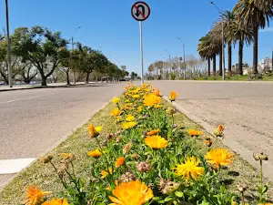 Rambla Costanera