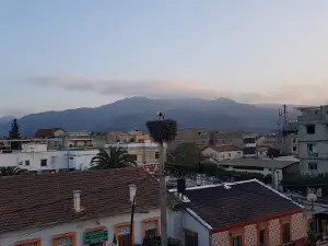 Hamza mosque مسجد حمزة