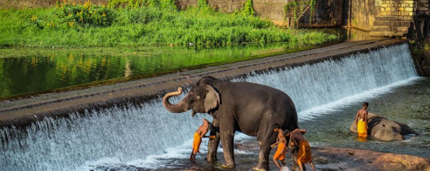 Dumala Water falls