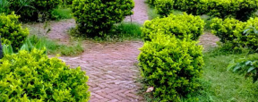 Karki Park