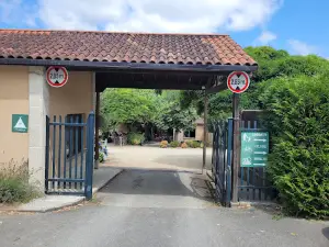 Camping Os Invernadeiros