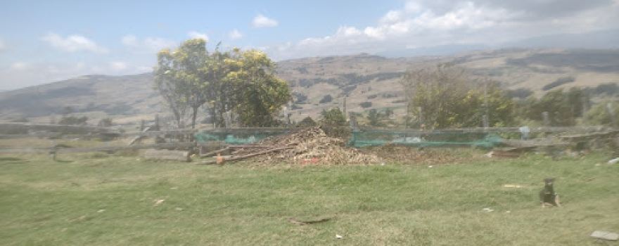Finca San Antonio