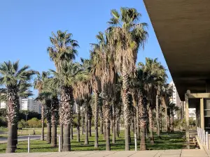 King Fahed Public Park