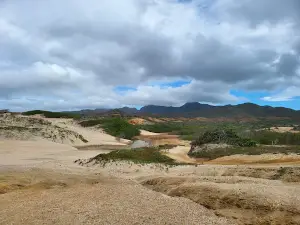 Playa La Carmela