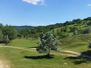 Temeleuți landscape reserve
