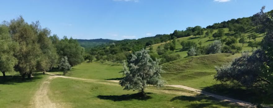 Temeleuți landscape reserve