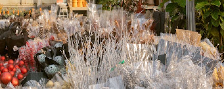 Abrahamson Nurseries