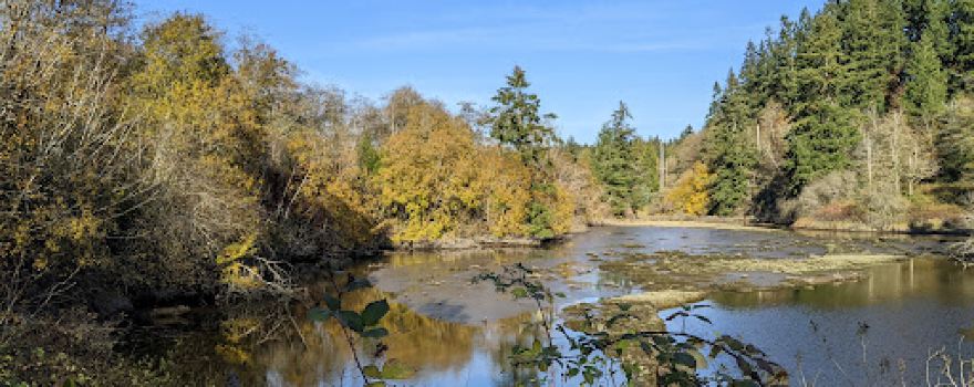 Poulsbo's Fish Park