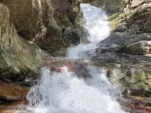 BX Creek & Falls Trail