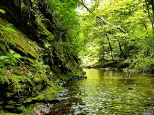 Crystal Recreation Area