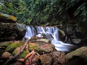 Lembah Tepus