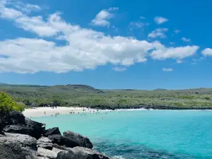 Puerto Chino