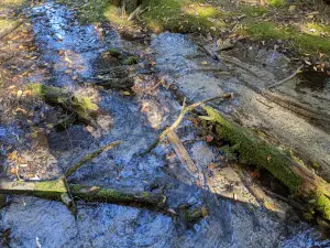 Iargo Springs