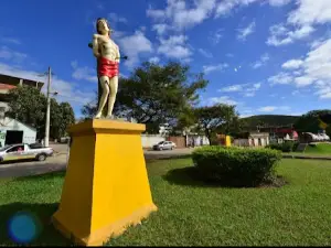 Periquito
