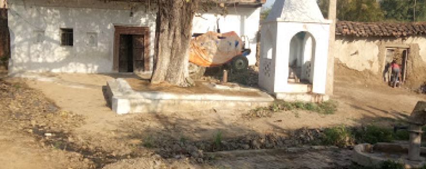 Ramesh Pandey Rice Mil