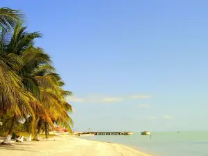 Playa Isla Aguada