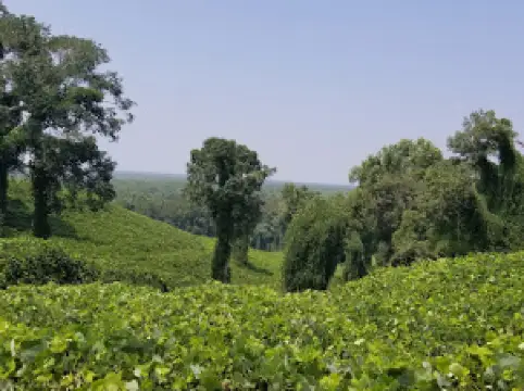 Morgan Brake National Wildlife Refuge