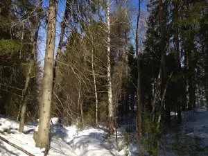 Silver Source