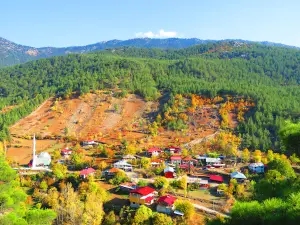 Kandilli Kızılyer