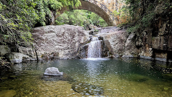 Paluma Range National Park