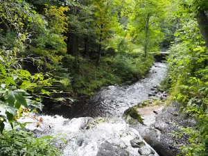 Cascade du bois de Chaux