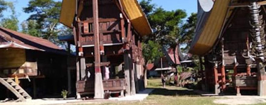 Tongkonan tanakkorong