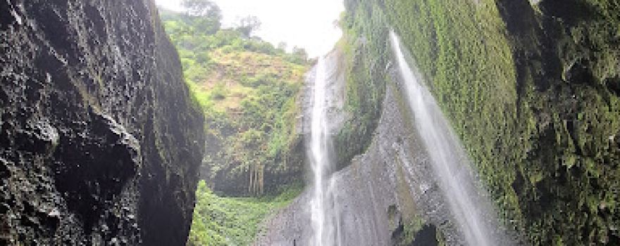 Madakaripura Forest Park