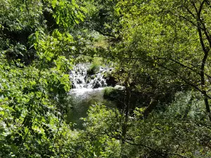 Paseo das Aceas