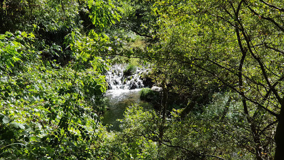 Comarca de Sarria
