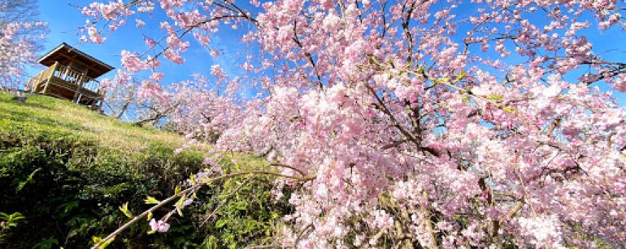 Konoyama Park