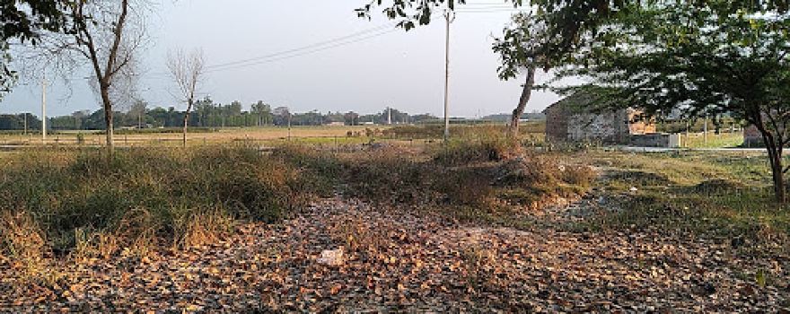 Bhitwa