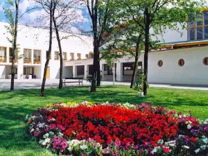Tiszaújvárosi Sport-Park Nonprofit Közhasznú Kft.