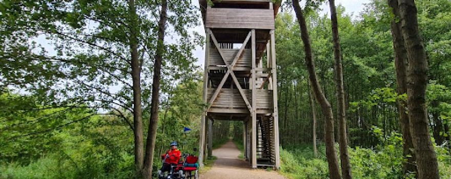 Aussichtsturm Specker See