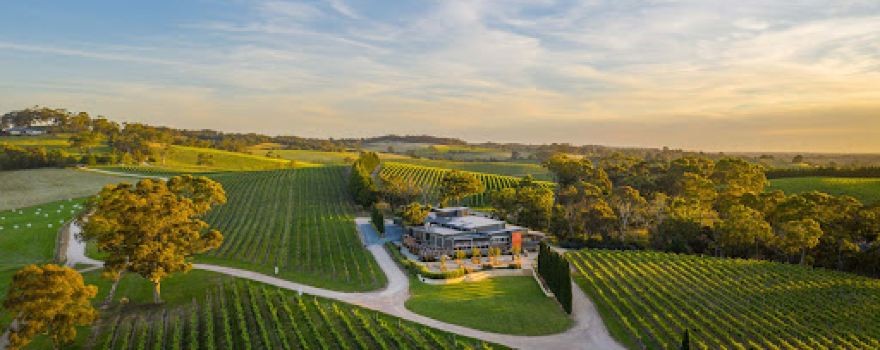 The Lane Vineyard